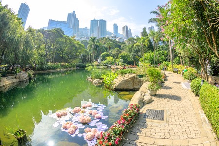 Scenic landscape with fish eye effect of the pond at the lush green garden of Hong Kong Park. On background, modern skyscrapers and towers in Central business district. Sunny day with blue sky.の写真素材
