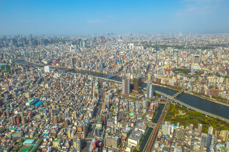 Aerial view of Tokyo city skyline