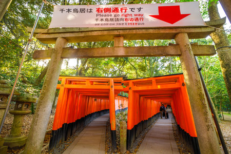 Kyoto, Japan - April 28, 2017: entrance to torii gate covered hiking trail of Fushimi Inari, popolar landmark. Two dense and parallel rows of gates called Senbon Torii or thousands of torii gates.のeditorial素材
