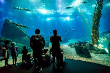 Lisbon, Portugal - August 24, 2017: family watching scenic central tank of Lisbon Oceanarium, in Parque das Nacoes, one of the largest aquarium in the world. Tourism, holidays and leisure concept.のeditorial素材