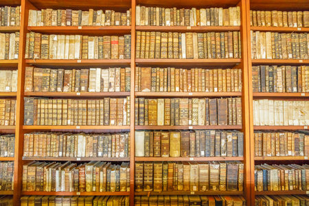 Coimbra, Portugal - August 14, 2017: wooden shelf with historic, decorated, vintage books at University of Coimbra, Europes oldest university. Background of books.のeditorial素材