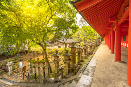Nara, Japan - April 26, 2017: Japanese old stone lanterns outside Kasuga Taisha Shrine in Nara, Japan.   part of the Historic Monuments of Ancient Nara complex.のeditorial素材