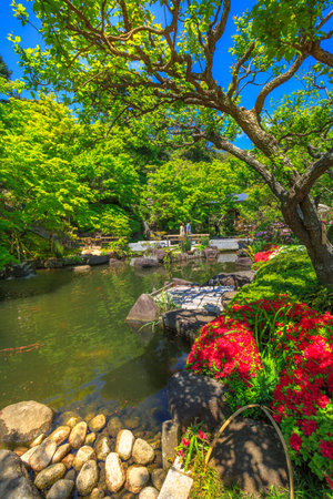 Kamakura, Japan - April 23, 2017: small lake surrounded by a flowering garden in a sunny day at Hase-dera Temple or Hase-kannon, Kanagawa Prefecture, Kamakura. Spring season. Vertical shot.のeditorial素材