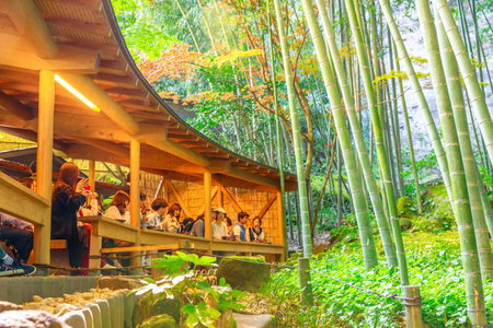 Kamakura, Japan - April 23, 2017: Japanese and tourists people having green tea at Hokoku-ji Take-dera Buddhist temple surrounded by nature of its bamboo forest.のeditorial素材