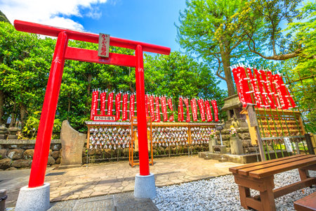 Kamakura, Japan - April 23, 2017: red Torii gate at Kakigara-Inari Shrine in Hase-dera Temple garden, Kanagawa Prefecture, in beautiful sunny day with blue sky. Hasedera shinto is popular landmarkのeditorial素材