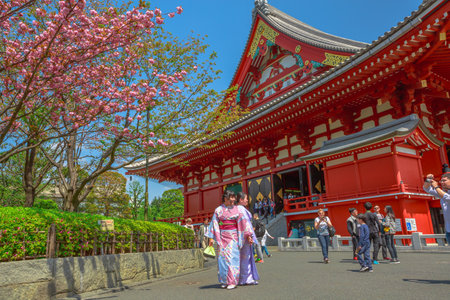 Tokyo, Japan - April 19, 2017: Asakusa popular icons: Kannon Temple in Senso-ji the oldest shrine in Tokyo, cherry blossom in spring sakura, the national flower of Japan and women in japanese kimonos.のeditorial素材