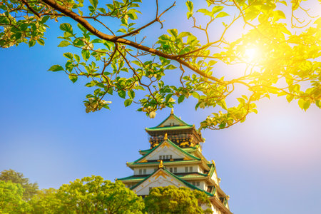 Closeup of branch with white cherry blossoms in the spring and sun rays. Osaka Castle on blurred background. Osaka Castle is one of the most famous landmarks of Japan and Osaka.のeditorial素材