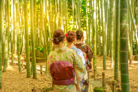 Kamakura, Japan - April 23, 2017: three women wearing Japanese kimono walking traditional path in bamboo garden of Take-dera Hokoku-ji Temple at sunset. Japanese lifestyle, spring season.のeditorial素材