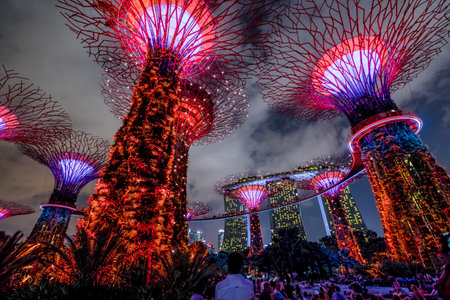 Singapore - April 30, 2018: Garden Rhapsody light and sound shows on Supertree Grove with OCBC...
