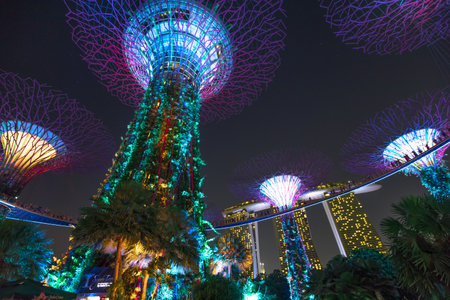 Singapore - April 29, 2018: Supertree Grove during Garden Rhapsody at Gardens by the Bay. Light Show is popular tourist attraction in central Singapore, Marina Bay area. Night scene. Bottom view.のeditorial素材