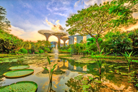 Singapore - April 29, 2018: sunset skyline of Gardens by the Bay with blue lighting and modern skyscraper reflecting in Water Lily Pond at sunset. Marina bay area in Central Singapore, Southeast Asia.のeditorial素材