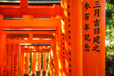 Kyoto, Japan - April 28, 2017: Thousands vermilion torii gates of Fushimi Inari taisha, south of Kyoto, Japan. Fushimi Inari is the most important shinto sanctuary and the oldest in Kyoto.のeditorial素材