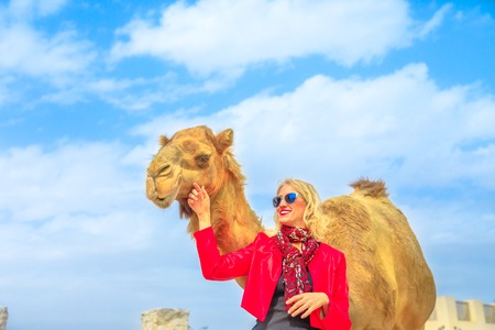 Happy woman touches and interacts with a camel in Doha city center, near Souq Waqif, the old market in Qatar. Caucasian tourist traveler in Middle East, Arabian Peninsula. Sunny day blue sky.の写真素材