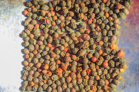Seeds food eaten by indigenous Australian Luritja and Pertame, Southern Aranda, people and used as...