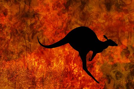 kangaroo silhouette jumping while escaping from a fire in Australia forests. Australian wildlife in bushfires 2019 and 2020. Conceptual:save kangaroos, global warming, natural disaster, climate changeの写真素材