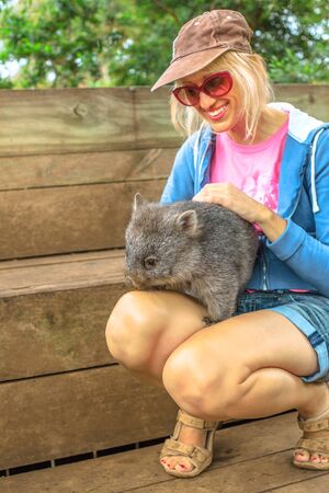 Caucasian smiling tourist woman holds on her legs and caresses a wombat, a marsupial Australian mammal. Encounter with Australian wildlife animal in Australia. Tourism in Tasmania. Vertical shot.の写真素材