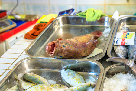 Close up of Grouper inside at fish market of Al Khor, located near to corniche. Qatar, Middle East, Arabian Peninsula.の写真素材