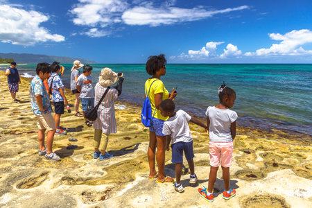 Oahu island, Hawaii, United States - August 26, 2016: Tourist families in the Oahu North Shore in Hawaii. Looking green sea turtles in Laniakea Beach. Turtle Beach nature reserve.のeditorial素材