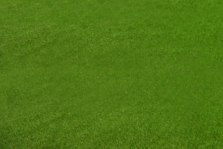 green grass background with copy space. Sport and football matches concept and grass pattern.