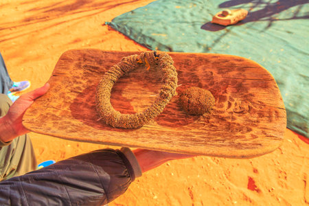 Kings Creek Station, Northern Territory, Australia - Aug 21, 2019: close up Australian Aborigines cookies made of seeds. Karrke Aboriginal Cultural Experience tour near Kings Canyon on Luritja Highwayのeditorial素材