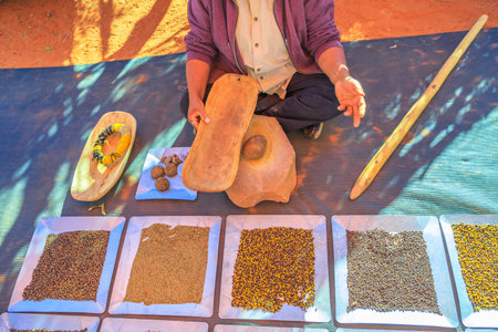 Kings Creek Station, Northern Territory, Australia - Aug 21, 2019: close up Australian Aborigines bush seeds during Karrke Aboriginal Cultural Experience tour near Kings Canyon on Luritja Highwayのeditorial素材