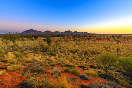 Uluru, Northern Territory, Australia - Aug 25, 2019: Sunrise at Kata Tjuta domed rock formation in Uluru-Kata Tjuta National park. Majestic Australian outback from platform dune viewing area at dawn.のeditorial素材