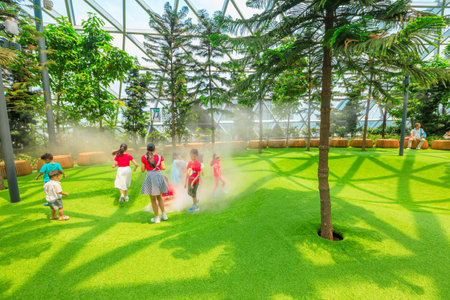 Singapore - Aug 8, 2019: funny kids at Foggy Bowls, a simple playground features bowl-shaped platforms with artificial lawn which release mists in Canopy Park at Jewel Changi Airport Singapore.のeditorial素材