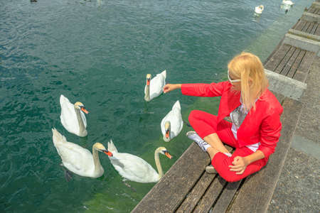 Zurich Lake in Zurich city with blonde tourist woman with white swans in turquoise waters. Lakefront marina with people resting among nature and wild birds. Deutch Switzerland of Canton of Zurichの写真素材