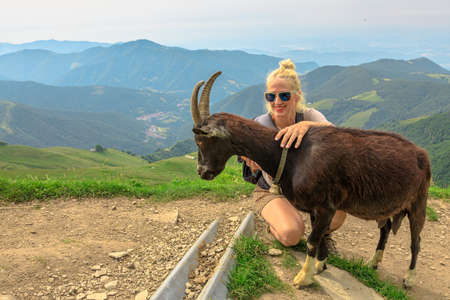 Tourist backpacker petting a goat in Switzerland by the panorama from Monte Generoso peak. Top of Mendrisio district of Switzerland in ticino canton.の写真素材