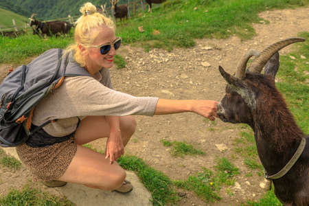 Tourist backpacker woman playing with a goat in Monte Generoso peak. Top of Mendrisio district of Switzerland in ticino canton.の写真素材
