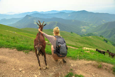 Tourist girl with a friend goat looking Switzerland panorama from Monte Generoso peak. Top of Mendrisio district of Switzerland in ticino canton.の写真素材