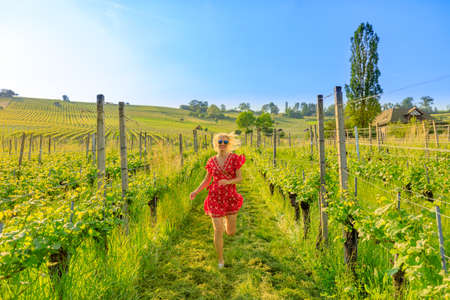 Lifestyle carefree woman running free in the vineyard terraces. Panoramic landscape at sunset in Hallau town of canton Schaffhausen in Switzerland.の写真素材