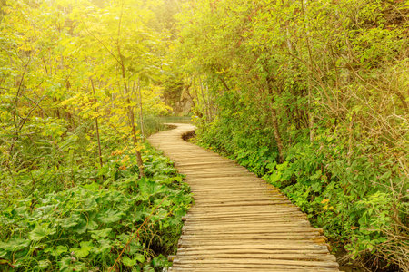 sunset on wooden jetty of Milino Jezero lake of Plitvice Lakes National Park in Croatia in the Lika region.の写真素材