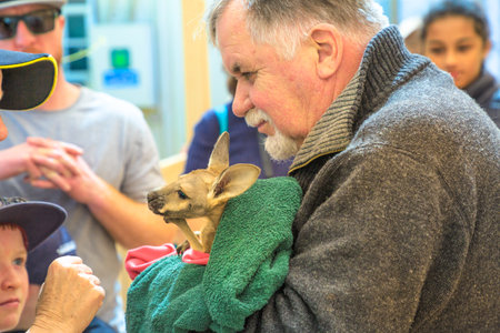 Coober Pedy, South Australia, Australia - Aug 27, 2019: founder of The kangaroo sanctuary, holding an orphaned baby kangaroo at guided tour. Australian outbackのeditorial素材