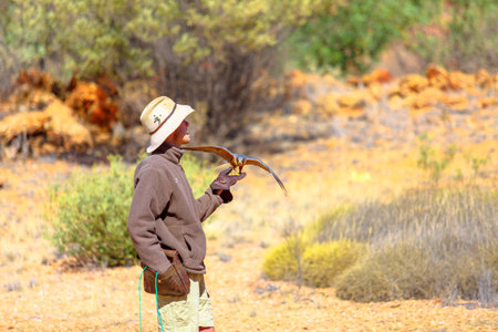Australia - Aug 1, 2019: skilled falconer at Alice Springs Desert Park forging deep connections with raptors. They educate visitors about these birds fostering profound respect for nature conservationのeditorial素材