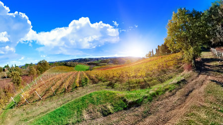 Travel vacation in the vineyard terraces. Panoramic landscape in Valsamoggia municipality in the Metropolitan City of Bologna of Emilia in Italy. Famous for barbera wine of Serravalle.の写真素材