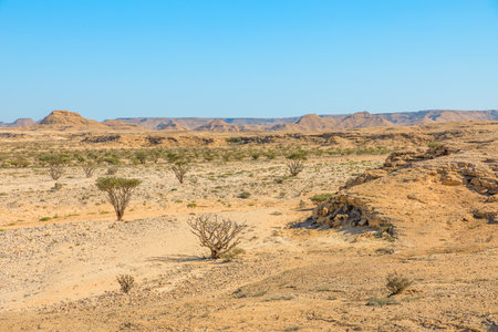 AERIAL VIEW of the captivating scenery of Wadi Dawkah Natural Park in Oman, capturing the mesmerizing beauty of the Frankincense Tree groves, a designated UNESCO World Heritage Siteの写真素材