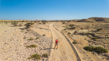 Aerial view of a tourist wOman explores the enchanting landscapes of Wadi Dawkah Natural Park in Oman, capturing the breathtaking groves of Frankincense Trees and the UNESCO World Heritage Site.の写真素材