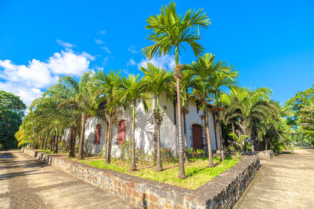 Sainte-Marie, Martinique, French Antilles - Dec 27, 2025: Historic Habitation La Salle distillery building with stone walls surrounded by lush palm trees on a sunny dayのeditorial素材