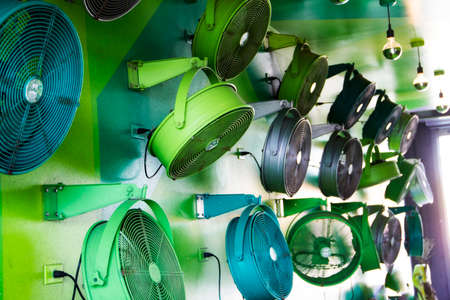 Multi Colored Fansの写真素材