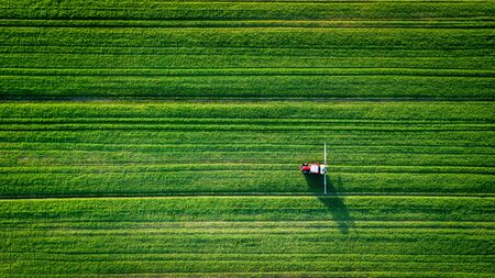 straight lines fieldの写真素材