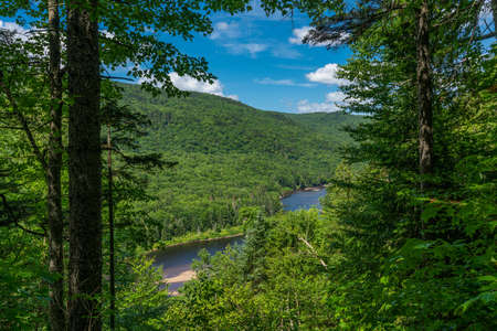 Awesome view from a verdant hill in Jacques Cartier National Park, Quebec province, Canada. Everything is green and mindblowing over here during summerの写真素材
