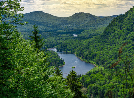 Awesome view from a verdant hill in Jacques Cartier National Park, Quebec province, Canada. Everything is green and mindblowing over here during summerの写真素材