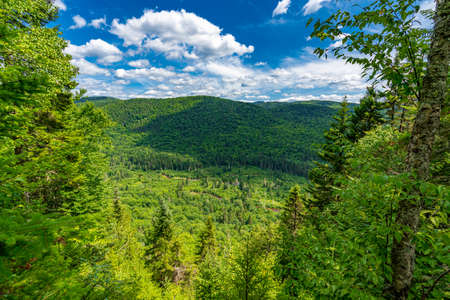 Awesome view from a verdant hill in Jacques Cartier National Park, Quebec province, Canada. Everything is green and mindblowing over here during summerの写真素材