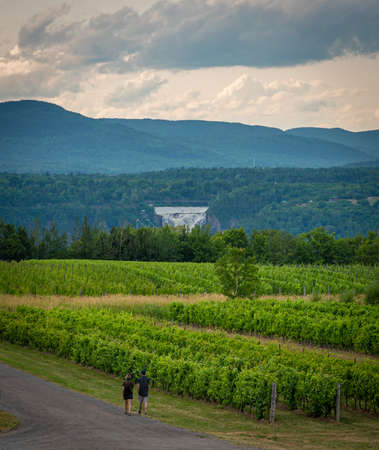 Montmorency falls from great vinyard in Orleans islandの写真素材
