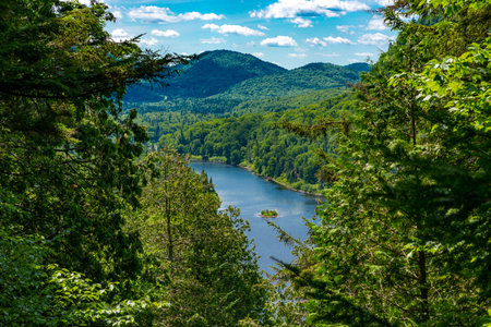 Awesome view from a verdant hill in Jacques Cartier National Park, Quebec province, Canada. Everything is green and mindblowing over here during summerの写真素材