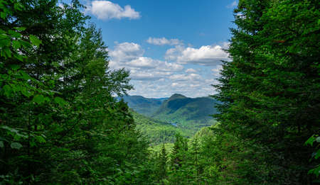 Awesome view from a verdant hill in Jacques Cartier National Park, Quebec province, Canada. Everything is green and mindblowing over here during summerの写真素材