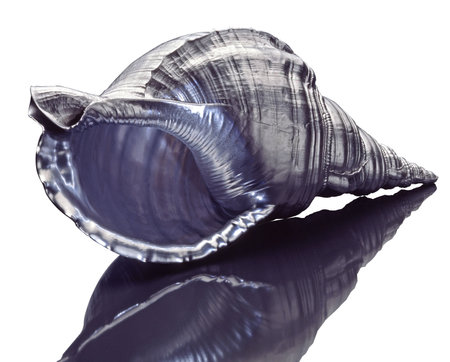 Big shell paints color silver