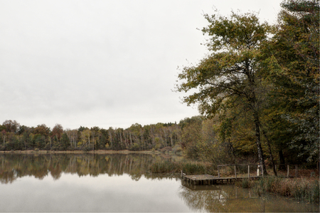 French lake surrounded by woods in autumnの写真素材