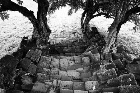 Vat Phou Temple in Champasak, in Southern Laosの写真素材